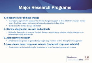 BecA-ILRI Hub: Mobilizing biosciences for Africa’s development