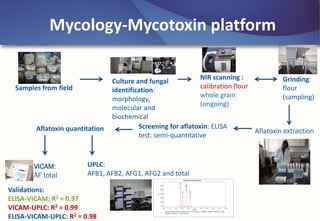 BecA-ILRI Hub: Mobilizing biosciences for Africa’s development