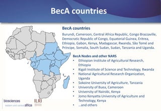 BecA-ILRI Hub: Mobilizing biosciences for Africa’s development
