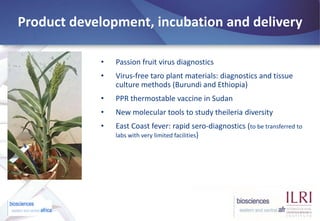 BecA-ILRI Hub: Mobilizing biosciences for Africa’s development