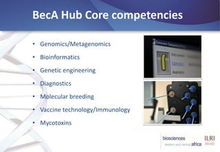 BecA-ILRI Hub: Mobilizing biosciences for Africa’s development