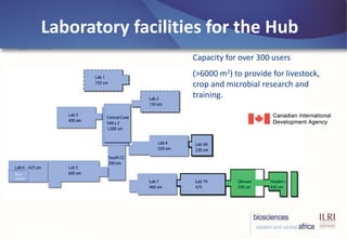 BecA-ILRI Hub: Mobilizing biosciences for Africa’s development