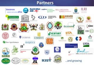 BecA-ILRI Hub: Mobilizing biosciences for Africa’s development