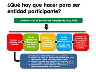 ¿Cómo participar?
Todas aquellas organizaciones que vean la oportunidad
de participar en la Beca.MOS, lo pueden hacer como:

   Entidades Asociadas

   •Organizaciones que ofrecen exclusivamente la realización del examen
    para la acreditación MOS.

   Entidades de Formación

   •Organizaciones que ofrecen la formación en sus diversas modalidades
    (presencial, autoformación y en línea) y la realización del examen para
    la acreditación MOS.

   Colaborando con Fundación Esplai

   •Las organizaciones que no pueden ser centros asociados o de
    formación pueden colaborar derivando a la ciudadanía a Fundación
    Esplai para poder atenderlas en alguna de las diferentes modalidades.
 