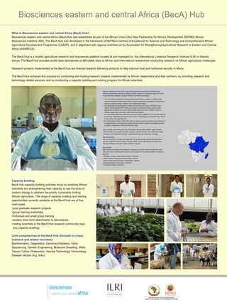 Biosciences eastern and central Africa (BecA) Hub