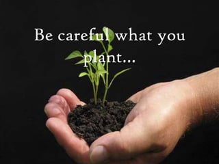 Be careful what you plant… 
