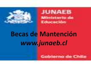 Becas de Mantención
   www.junaeb.cl
 