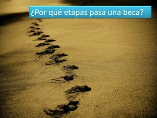 ¿Por qué etapas pasa una beca?
 