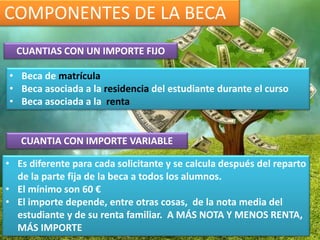COMPONENTES DE LA BECA
CUANTIAS CON UN IMPORTE FIJO
• Beca de matrícula
• Beca asociada a la residencia del estudiante durante el curso
• Beca asociada a la renta
CUANTIA CON IMPORTE VARIABLE
• Es diferente para cada solicitante y se calcula después del reparto
de la parte fija de la beca a todos los alumnos.
• El mínimo son 60 €
• El importe depende, entre otras cosas, de la nota media del
estudiante y de su renta familiar. A MÁS NOTA Y MENOS RENTA,
MÁS IMPORTE
 