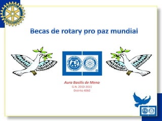 Becas Pro Paz de Rotary International