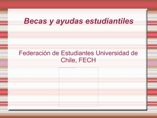 Becas y ayudas estudiantiles


Federación de Estudiantes Universidad de
              Chile, FECH
 