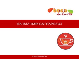 SEA-BUCKTHORN LEAF TEA PROJECT 
BUSINESS PROPOSAL 
 