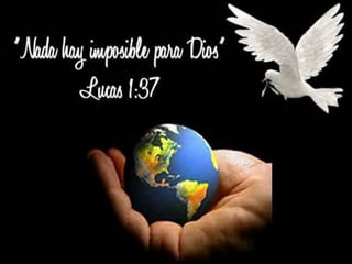 Beca universal convive aal máximo