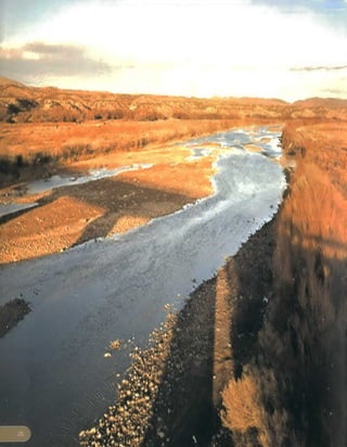 Becc annual report_2002