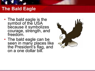 The Bald Eagle The bald eagle is the symbol of the USA because it symbolizes courage, strength, and freedom. The bald eagle can be seen in many places like the President’s flag, and on a one dollar bill. 