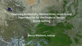 Assessing Biodiversity-Related Risks, Impacts and
Dependencies for the Financial Sector:
Scene Setting
Beccy Wilebore, natcap
 