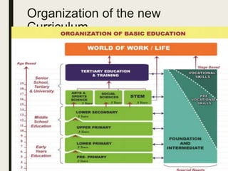 Organization of the new
Curriculum
 