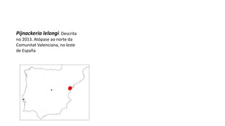 Pijnackeria lelongi. Descrita
no 2013. Atópase ao norte da
Comunitat Valenciana, no leste
de España
 
