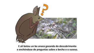 E alí botou un bo anaco gozando do descubrimento
e enchéndose de preguntas sobre o becho e o suceso.
 