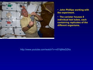 John Phillips working with the experiment. The canister houses 8 individual test tubes, each containing replicates of the different organisms.  http:// www.youtube.com/watch?v =n57djMwDZAs 