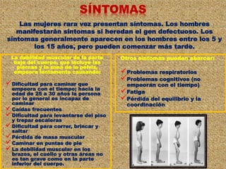 SÍNTOMAS
Las mujeres rara vez presentan síntomas. Los hombres
manifestarán síntomas si heredan el gen defectuoso. Los
síntomas generalmente aparecen en los hombres entre los 5 y
los 15 años, pero pueden comenzar más tarde.
La debilidad muscular de la parte
baja del cuerpo, que incluye las
piernas y la zona de la pelvis,
empeora lentamente causando:
Dificultad para caminar que
empeora con el tiempo; hacia la
edad de 25 a 30 años la persona
por lo general es incapaz de
caminar
Caídas frecuentes
Dificultad para levantarse del piso
y trepar escaleras
Dificultad para correr, brincar y
saltar
Pérdida de masa muscular
Caminar en puntas de pie
La debilidad muscular en los
brazos, el cuello y otras áreas no
es tan grave como en la parte
inferior del cuerpo.
Otros síntomas pueden abarcar:
Problemas respiratorios
Problemas cognitivos (no
empeoran con el tiempo)
Fatiga
Pérdida del equilibrio y la
coordinación.
 