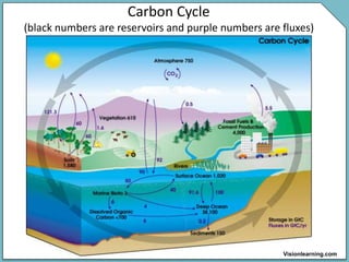 Carbon Cycle
(black numbers are reservoirs and purple numbers are fluxes)
Visionlearning.com
 