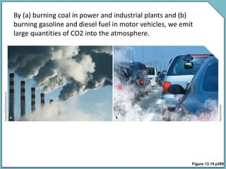 Figure 13.14 p360
By (a) burning coal in power and industrial plants and (b)
burning gasoline and diesel fuel in motor vehicles, we emit
large quantities of CO2 into the atmosphere.
 
