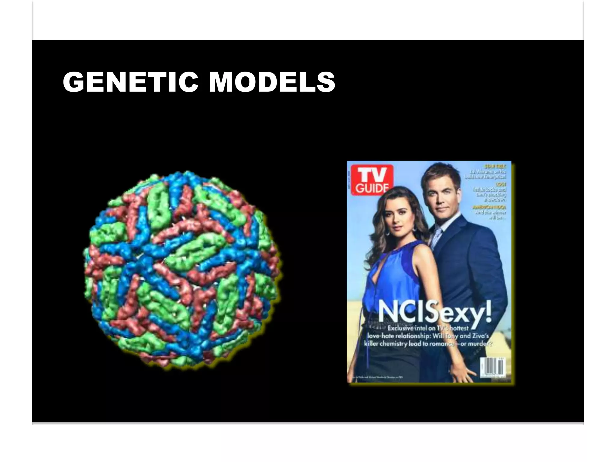 GENETIC MODELS
 