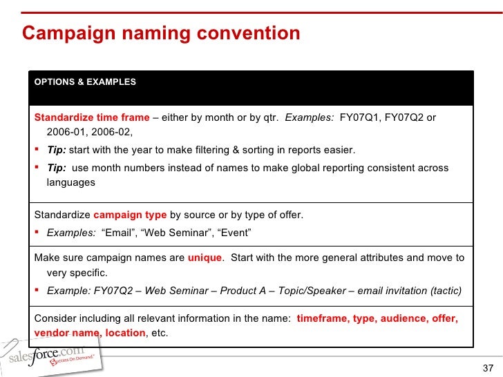become an expert campaign management and website integration campaign names