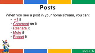 Posts
When you see a post in your home stream, you can:
• +1 it
• Comment on it
• Reshare it
• Mute it
• Report it
#tcea16
 