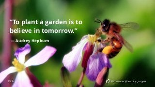 @thinknow @brooklyn_copper
“To plant a garden is to
believe in tomorrow.” 
 
― Audrey Hepburn
Flickr:
 
