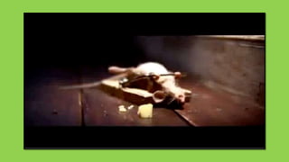 Becoming an All-Star 1