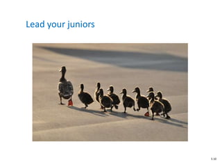 Lead your juniors
S 10