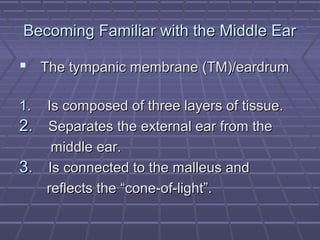 Becoming Familiar with the Middle EarBecoming Familiar with the Middle Ear
 The tympanic membrane (TM)/eardrumThe tympanic membrane (TM)/eardrum
1.1. Is composed of three layers of tissue.Is composed of three layers of tissue.
2.2. Separates the external ear from theSeparates the external ear from the
middle ear.middle ear.
3.3. Is connected to the malleus andIs connected to the malleus and
reflects the “cone-of-light”.reflects the “cone-of-light”.
 