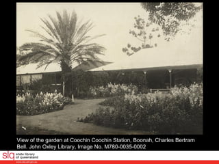 View of the garden at Coochin Coochin Station, Boonah, Charles Bertram Bell. John Oxley Library, Image No. M780-0035-0002  