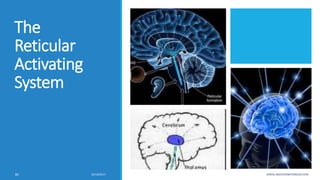 The
Reticular
Activating
System
10/18/2017 WWW.ABOVEORBEYONDJM.COM82
 