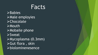Facts
Babies
Male employies
Chocolate
Mouth
Mobaile phone
Sweat
Mycoplasma (0.3mm)
Gut flora , skin
biolominenesence