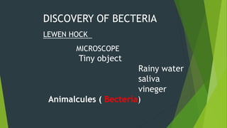 DISCOVERY OF BECTERIA
LEWEN HOCK
MICROSCOPE
Tiny object
Rainy water
saliva
vineger
Animalcules ( Becteria)