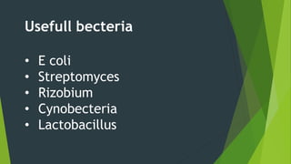 Usefull becteria
• E coli
• Streptomyces
• Rizobium
• Cynobecteria
• Lactobacillus
