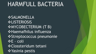 HARMFULL BACTERIA
SALMONELLA
LISTERIOSIS
MYCOBECTERIUM (T B)
Haemafhilus influenza
Streptococcus pneumonie
E – coli
Clossteridum tetani
Yasinia pestis