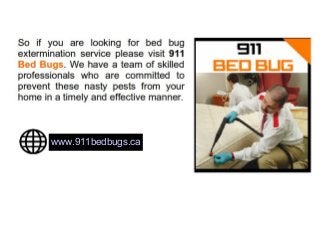 www.911bedbugs.ca
 