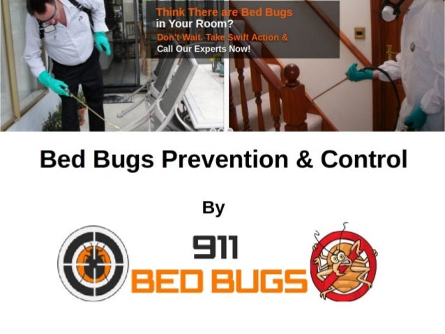 bed bugs prevention