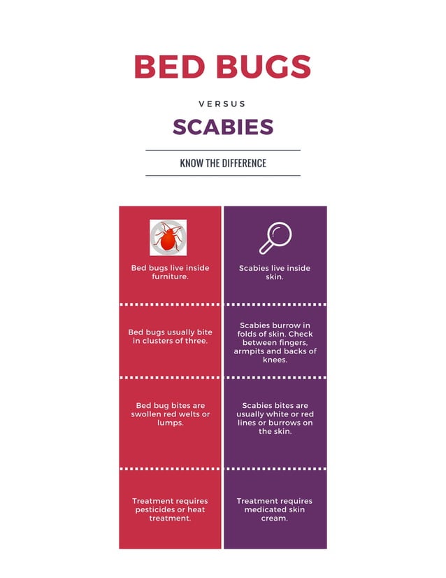 Bed Bugs Vs Scabies PDF