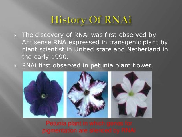 RNAi technology