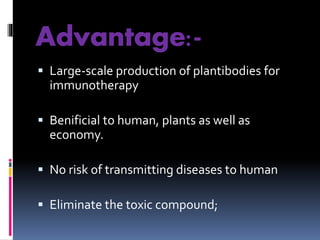 Advantage:- 
 Large-scale production of plantibodies for 
immunotherapy 
 Benificial to human, plants as well as 
economy. 
 No risk of transmitting diseases to human 
 Eliminate the toxic compound; 
 