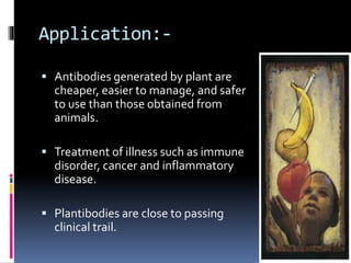 Application:- 
 Antibodies generated by plant are 
cheaper, easier to manage, and safer 
to use than those obtained from 
animals. 
 Treatment of illness such as immune 
disorder, cancer and inflammatory 
disease. 
 Plantibodies are close to passing 
clinical trail. 
 