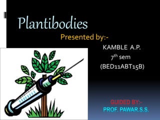 Plantibodies 
Presented by:- 
KAMBLE A.P. 
7th sem 
(BED11ABT15B) 
 