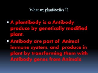 What are plantibodies ?? 
 A plantibody is a Antibody 
produce by genetically modified 
plant. 
 Antibody are part of Animal 
immune system, and produce in 
plant by transforming them with 
Antibody genes from Animals. 
 
