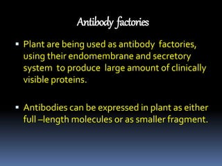 Antibody factories 
 Plant are being used as antibody factories, 
using their endomembrane and secretory 
system to produce large amount of clinically 
visible proteins. 
 Antibodies can be expressed in plant as either 
full –length molecules or as smaller fragment. 
 
