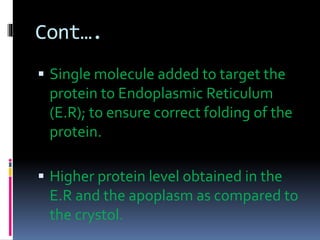 Cont…. 
 Single molecule added to target the 
protein to Endoplasmic Reticulum 
(E.R); to ensure correct folding of the 
protein. 
 Higher protein level obtained in the 
E.R and the apoplasm as compared to 
the crystol. 
 